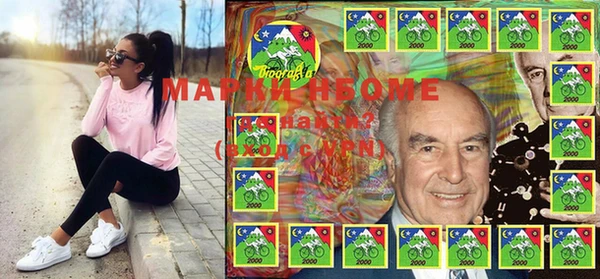 мдпв Ельня