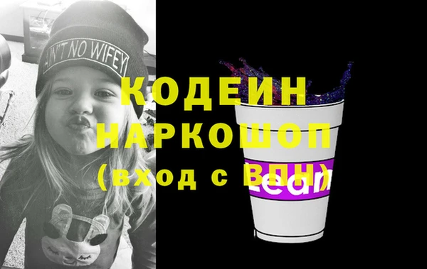 мдпв Ельня