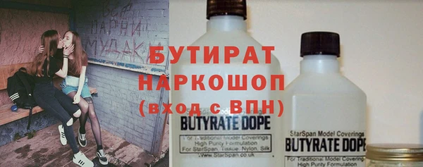 мдпв Ельня