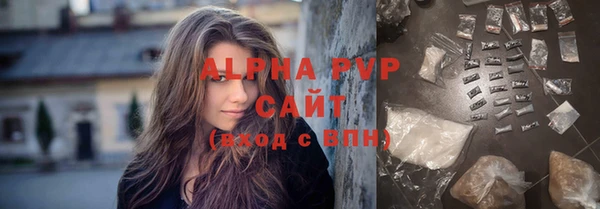 мдпв Ельня