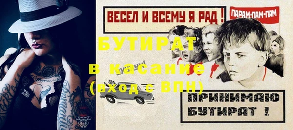 мдпв Ельня