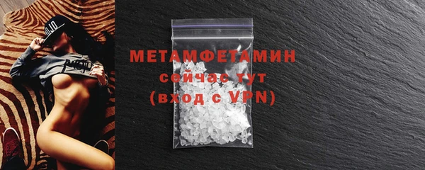 мдпв Ельня