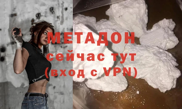 мдпв Ельня