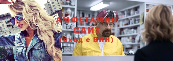 мдпв Ельня