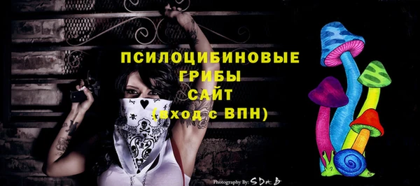мдпв Ельня