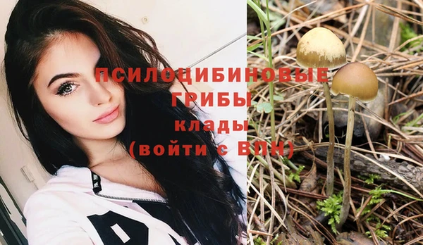 мдпв Ельня