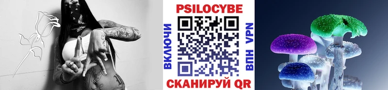 Галлюциногенные грибы Psilocybine cubensis  дарнет шоп  Тюмень 